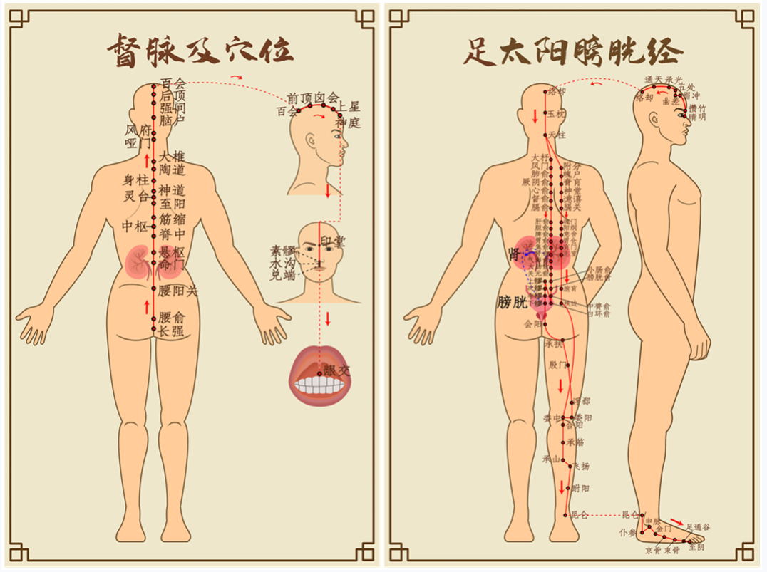 如何养生防止衰老_养生抗衰老指南_养生的概念与衰老机制